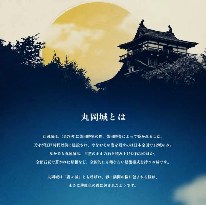 No.061 丸岡城 歩道橋よりコルュビジェへ|WEBサイト100選