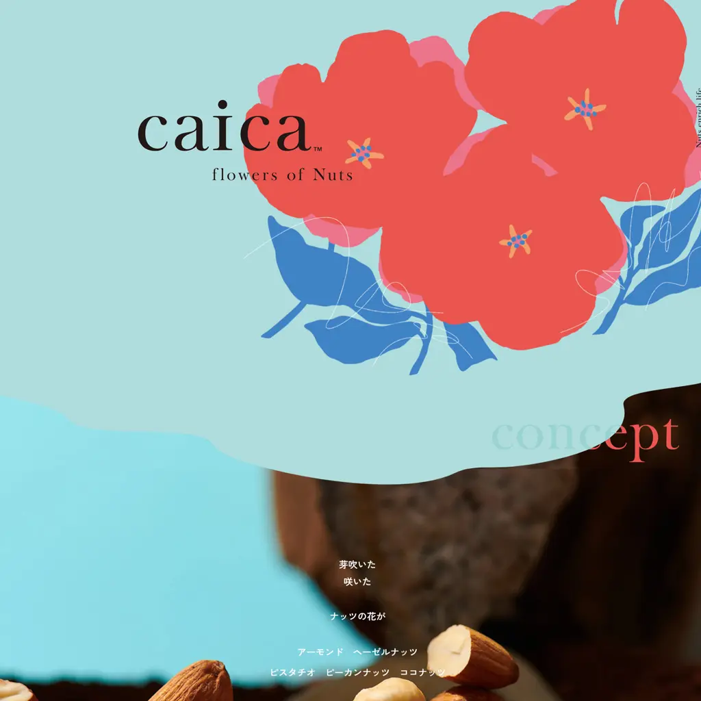 No.005 caica　歩道橋よりコルビュジェへ|WEBサイト100選