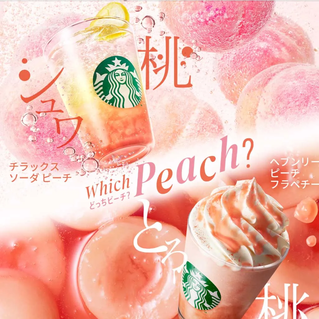 No.028 Starbucks Coffee スターバックスコーヒー