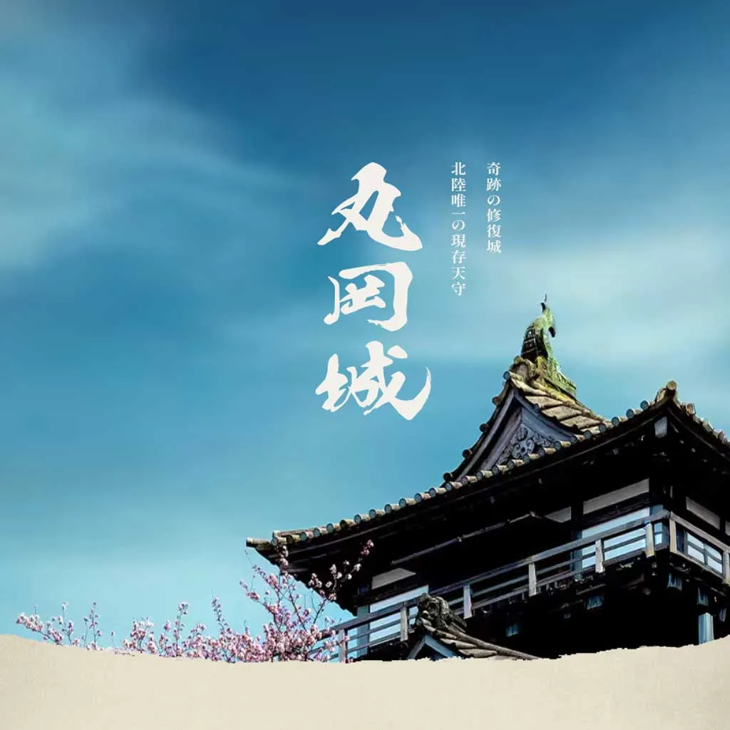 No.061 丸岡城　歩道橋よりコルュビジェへ｜WEBサイト100選